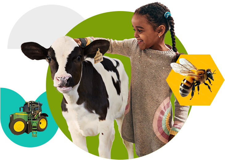 A colourful collage of images. At the centre, there is a young girl with a braid petting a holstein calf. To the left is a green and yellow tractor. To the right is a bumble bee.