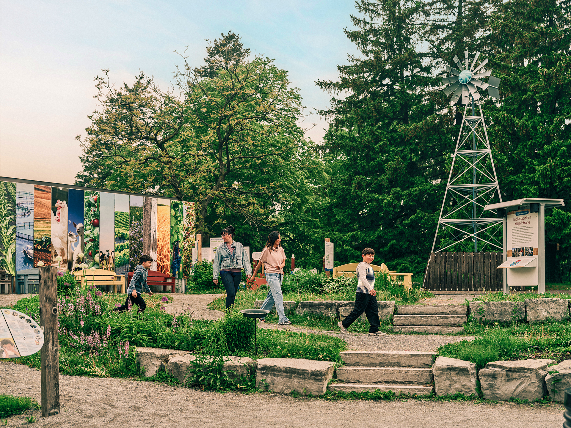 A family of four walks along a gravel path, surrounded by grass and grenery terraces. In the background there are large green trees, a metal windmill, and museum exhibition panels that feature images of agriculture, produce and farm animals.