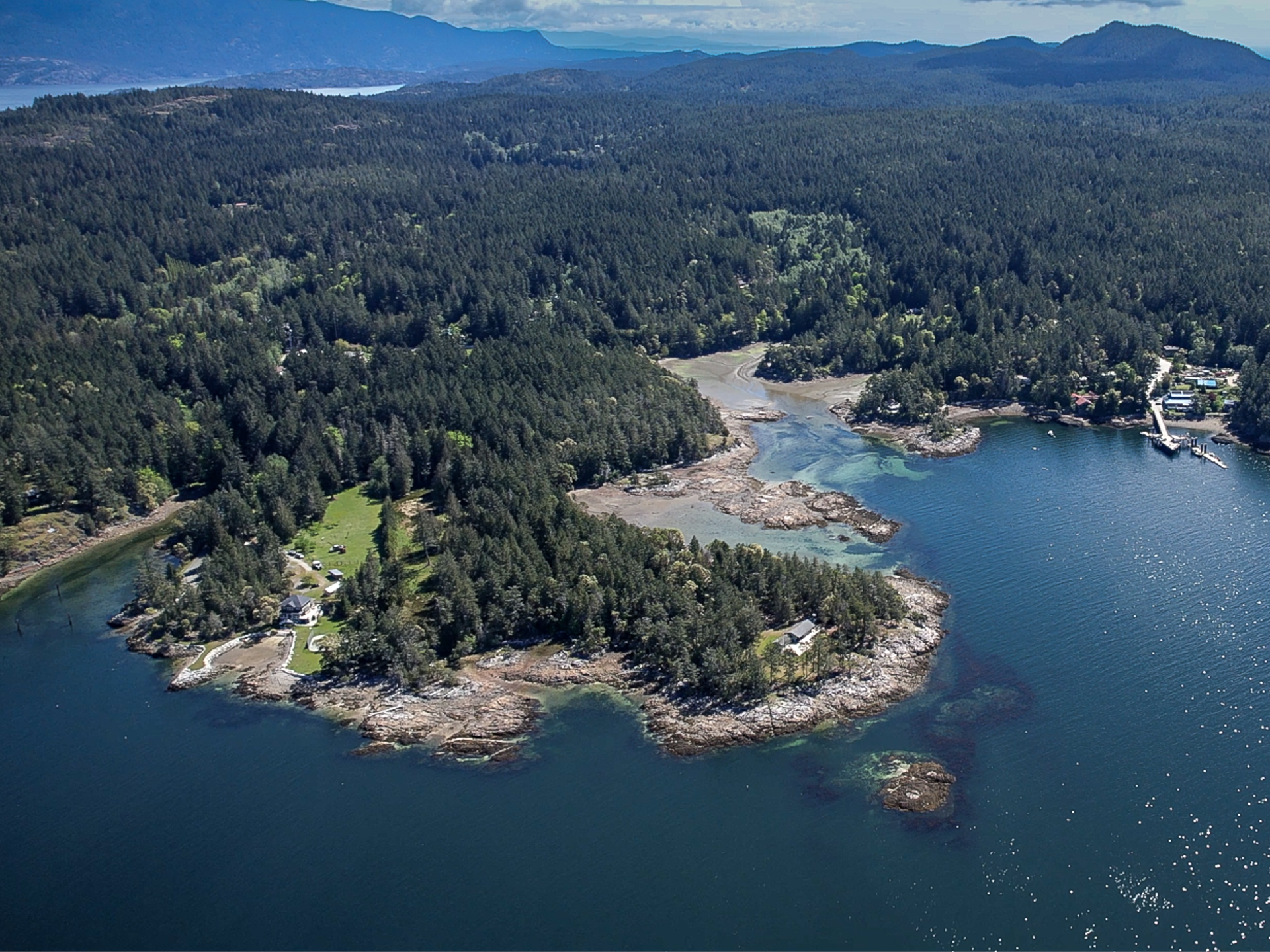 An aerial photo of a treed area along a clear, blue waterfront.