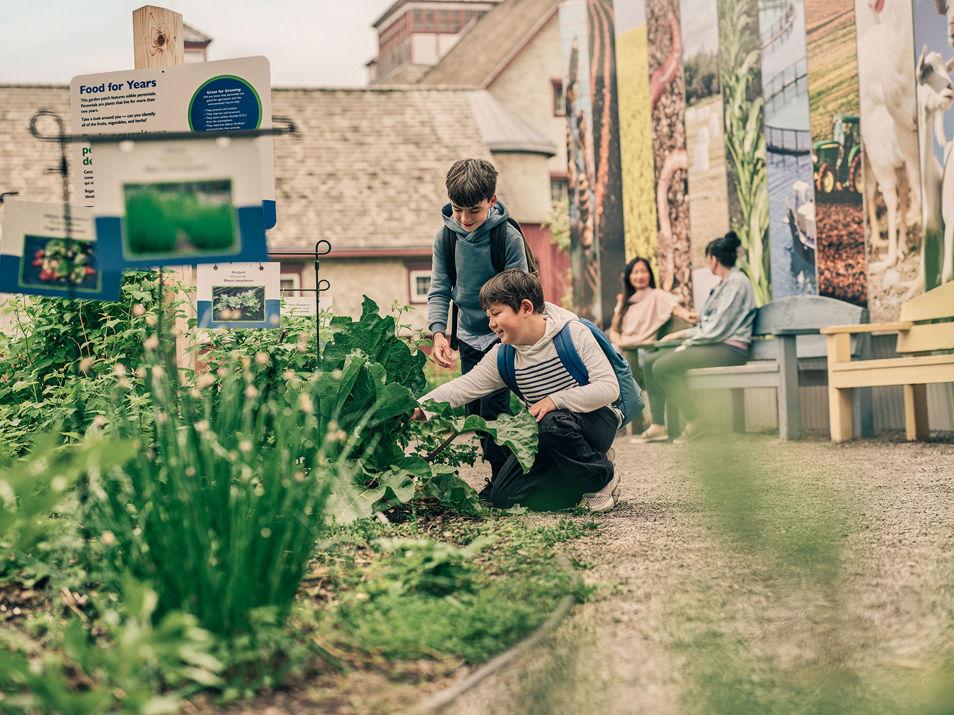 Deux enfants regardent un jardin de plantes vertes et comestibles. L'un d'eux s'agenouille et montre du doigt le jardin.