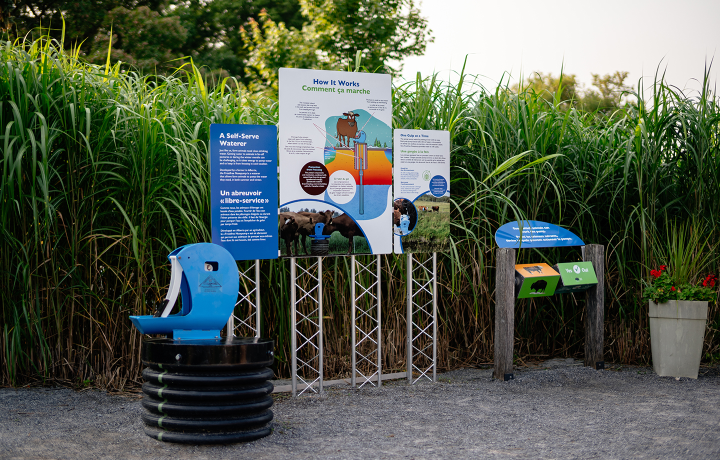 Trois panneaux d'exposition se trouvent devant des herbes hautes. Sur la gauche, un dispositif bleu fournit de l'eau potable aux troupeaux.