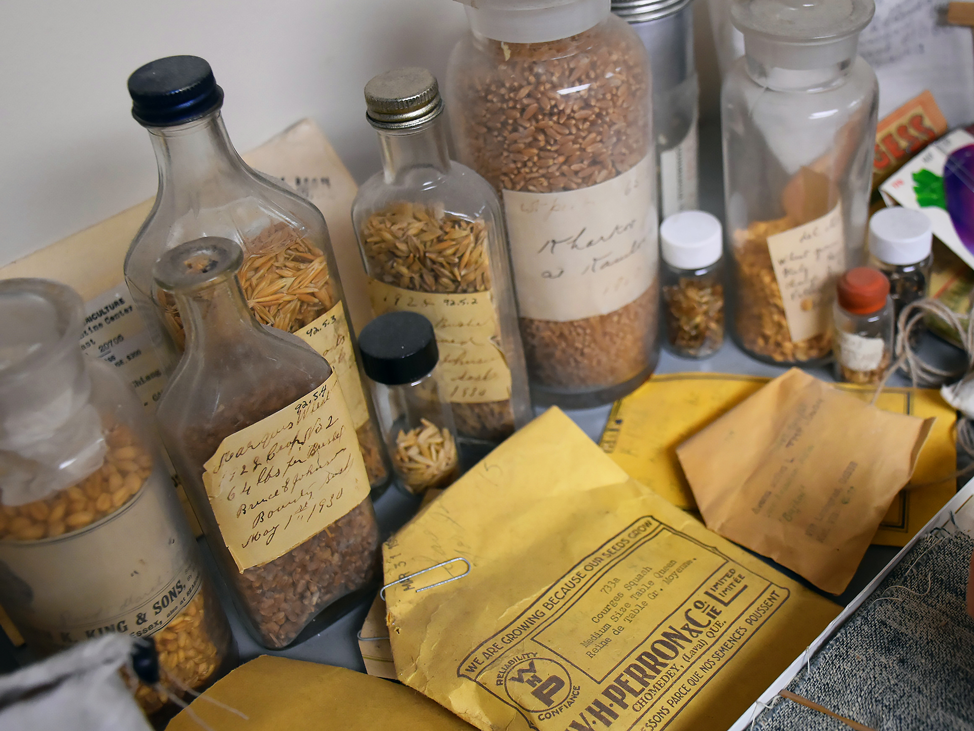 Agricultural artifacts, including bottles of seeds with yellowed paper and hand-written labels and yellow envelopes are on a shelf.