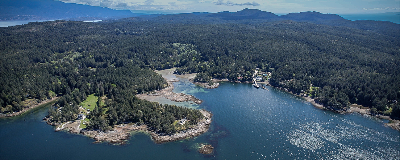 An aerial view of a jagged shoreline. A fir tree forest transitions to a rocky beach, and deep blue water.