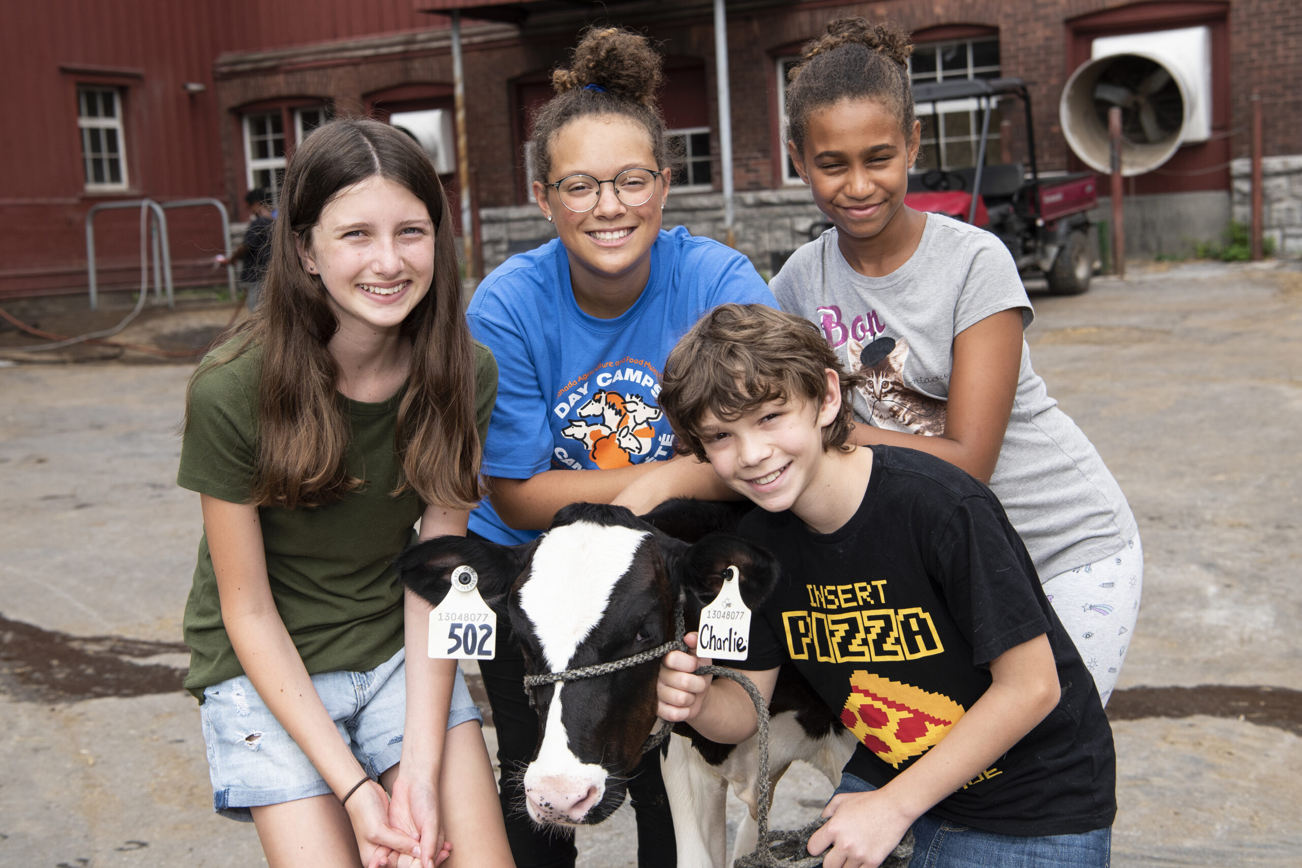 Four smiling young people stand in the museum’s barnyard. They are gathered around a haltered, black and white Holstein calf.