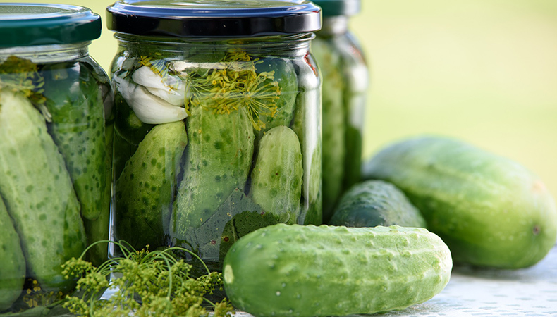 A close-up of three jars of pickles. Several cucumbers and a sprig of dill are visible in the foreground.