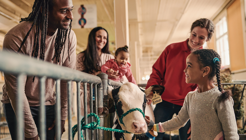 A smiling staff member and a visiting family gather around a haltered calf in the dairy barn