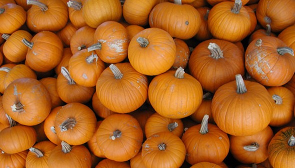 Une pile de citrouilles orange