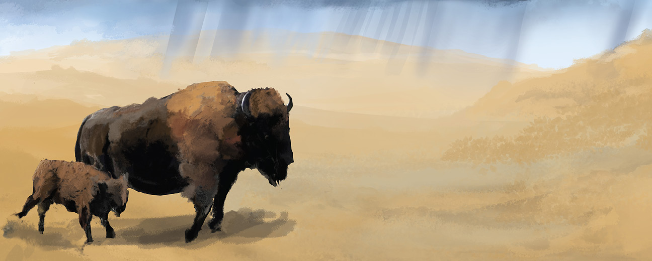 Un bison et son veau dans la prairie