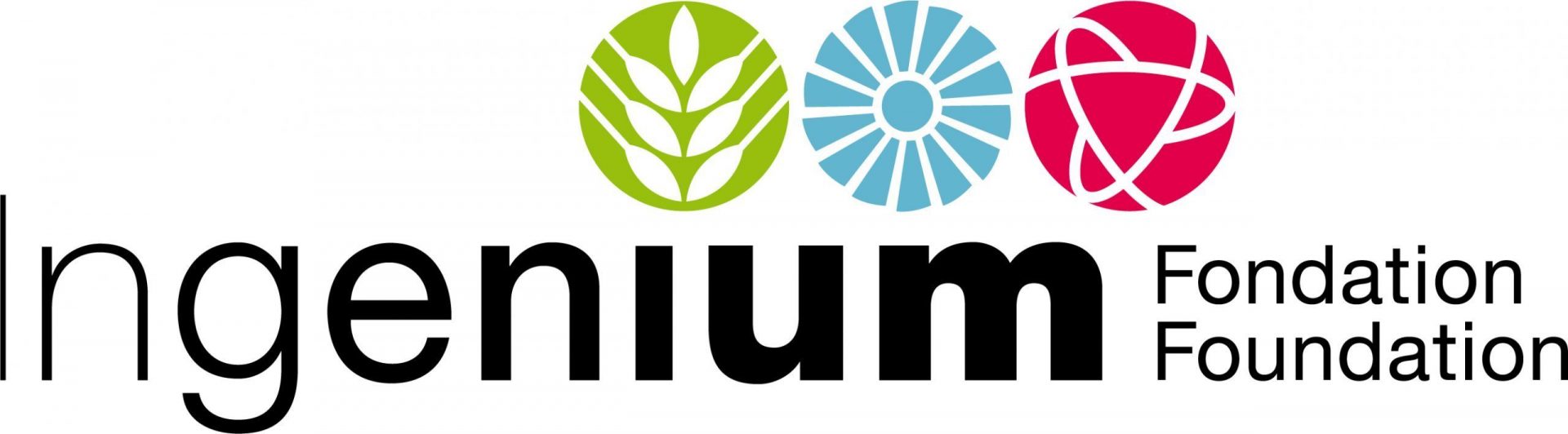 Ingenium Foundation logo