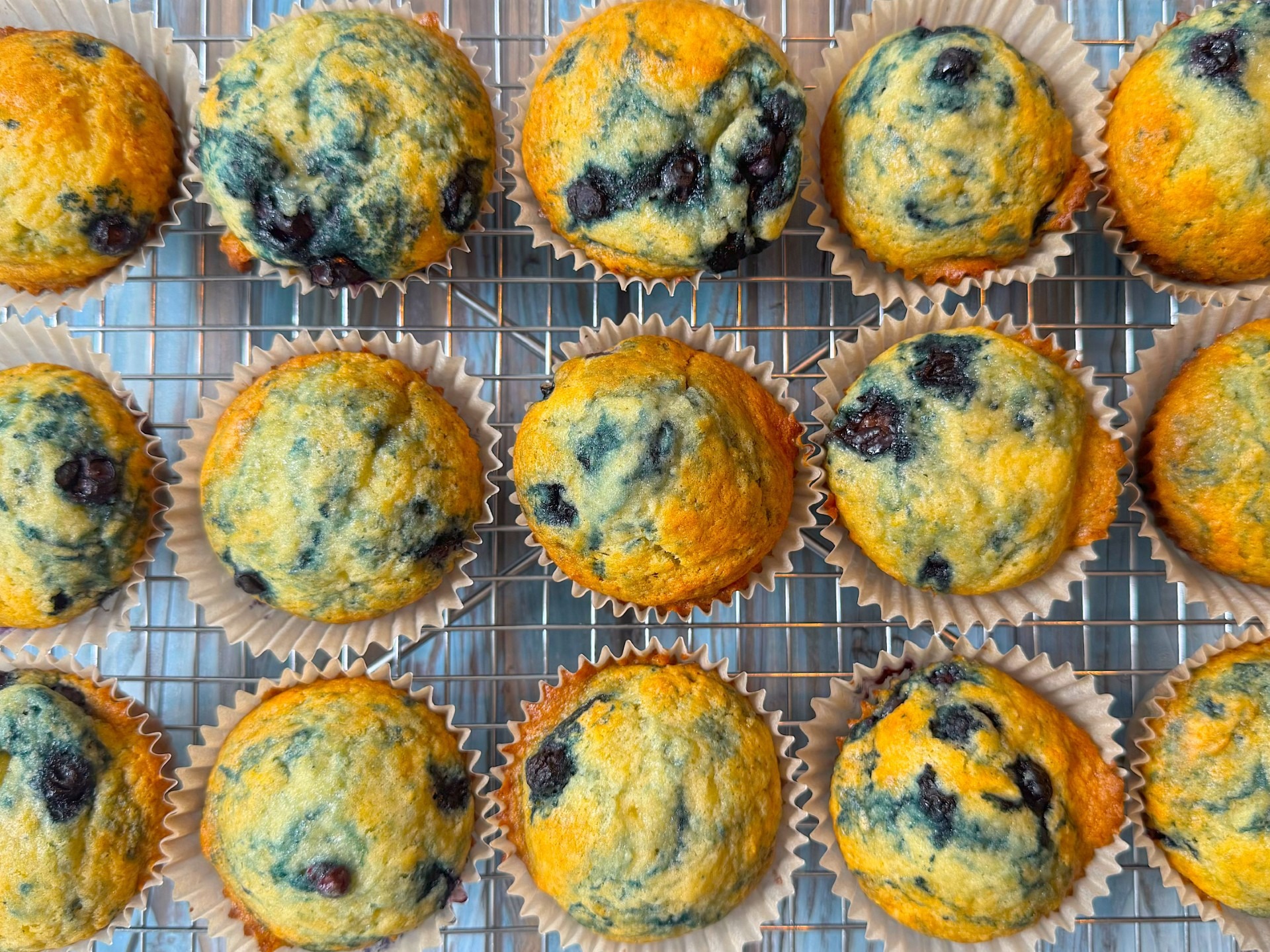 Over a dozen blueberry muffins on a wire baking rack
