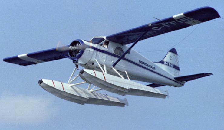 De Havilland Canada DHC-2 Beaver volant dans les airs sur fond de ciel bleu.