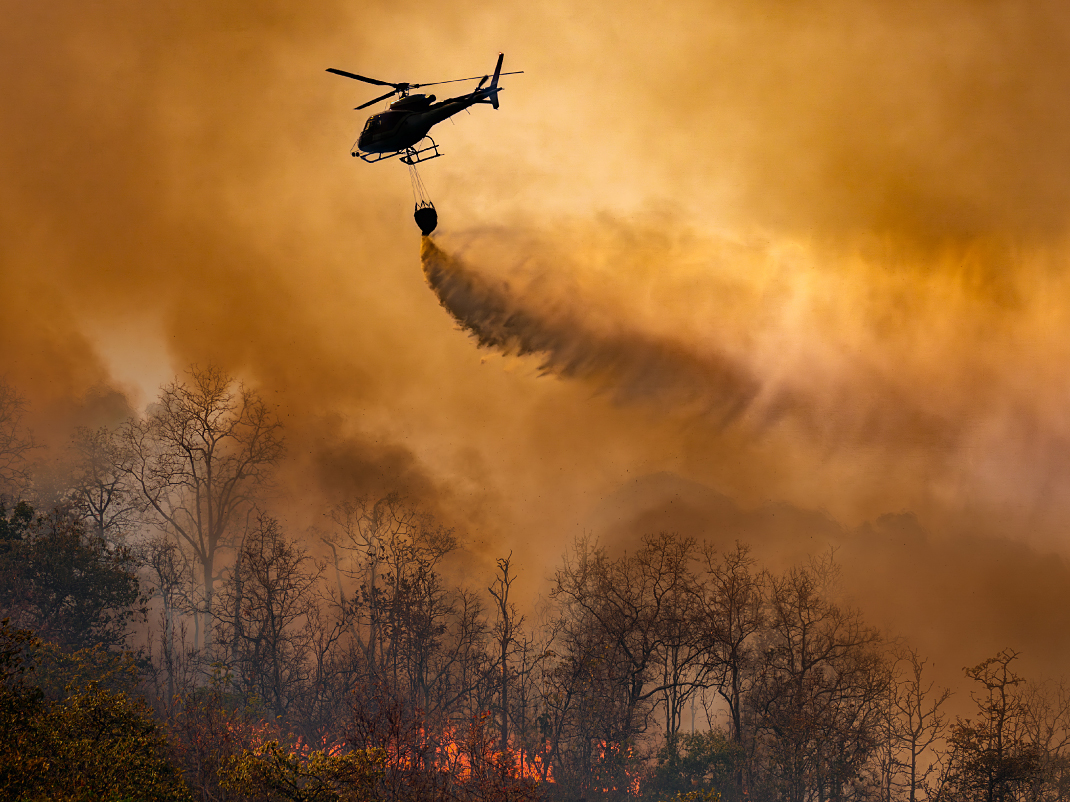 A helicopter flies through a smoky sky and dumps a load of water over a forest fire.