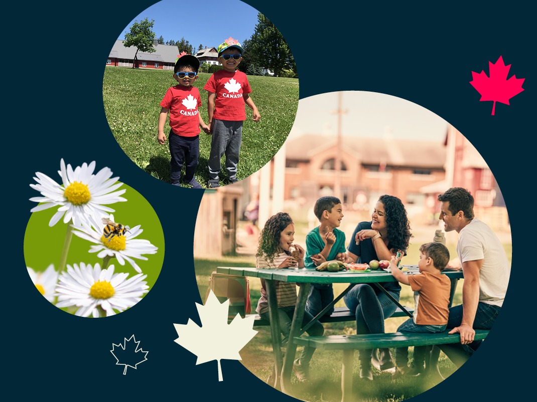 Composite photos of a bee on some daisies, two children with Canada shirts in front of the museum and a family sitting together at an outdoor picnic table.