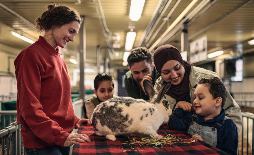 A family looking at a rabbit at the museum