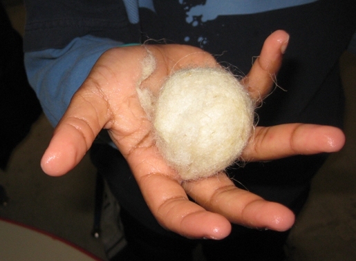 A hand holding a tightly packed and washed ball of wool