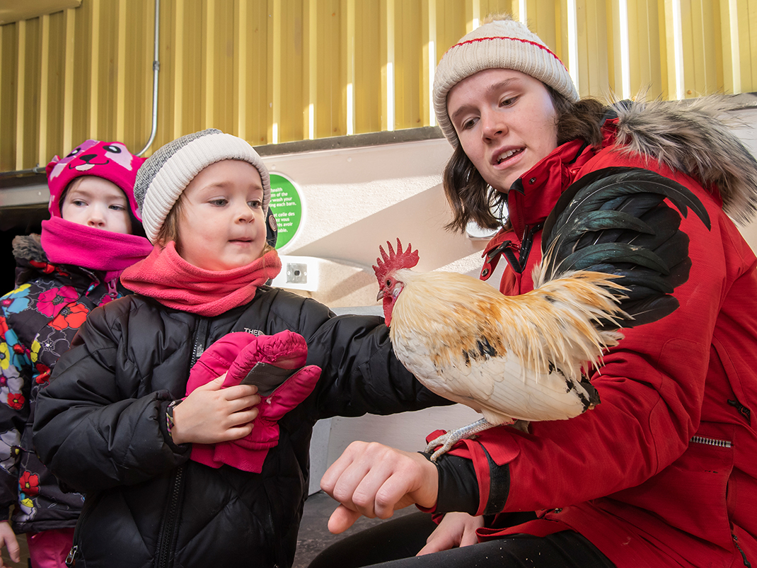 A museum guide has a rooster on her arm, showing a young child. Both are bundled in warm winter clothing.