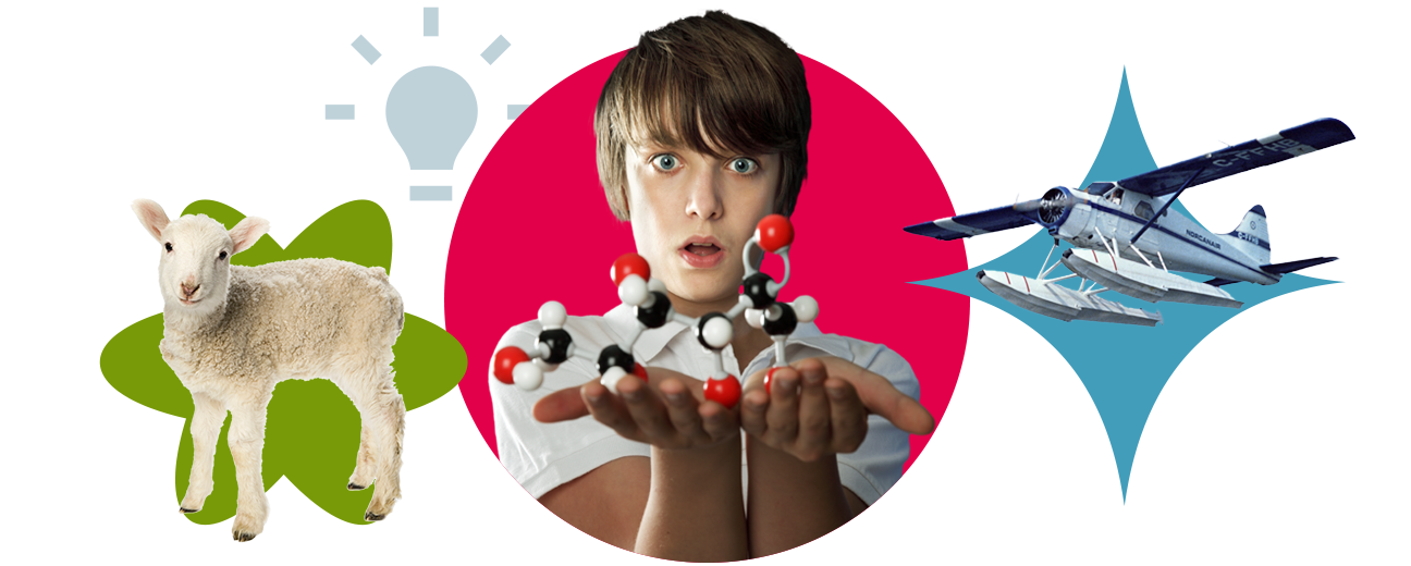 A colourful collage with a sheep, a child holding a molecule model and an aircraft