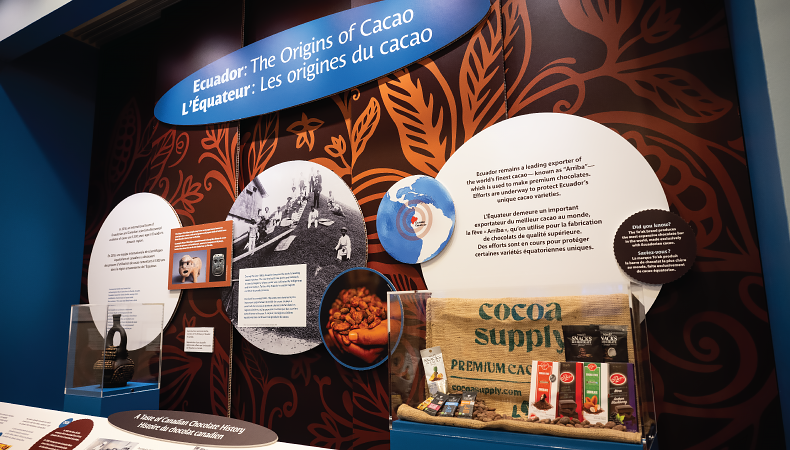 A side angled view of the Origins of Cacao display.