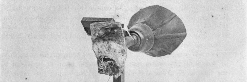 Cropped photograph of the 1874 ear phonautograph showing the mouthpiece and ear components.