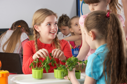 Three children are gathered around small plants at a table. Other children can be seen in the background.