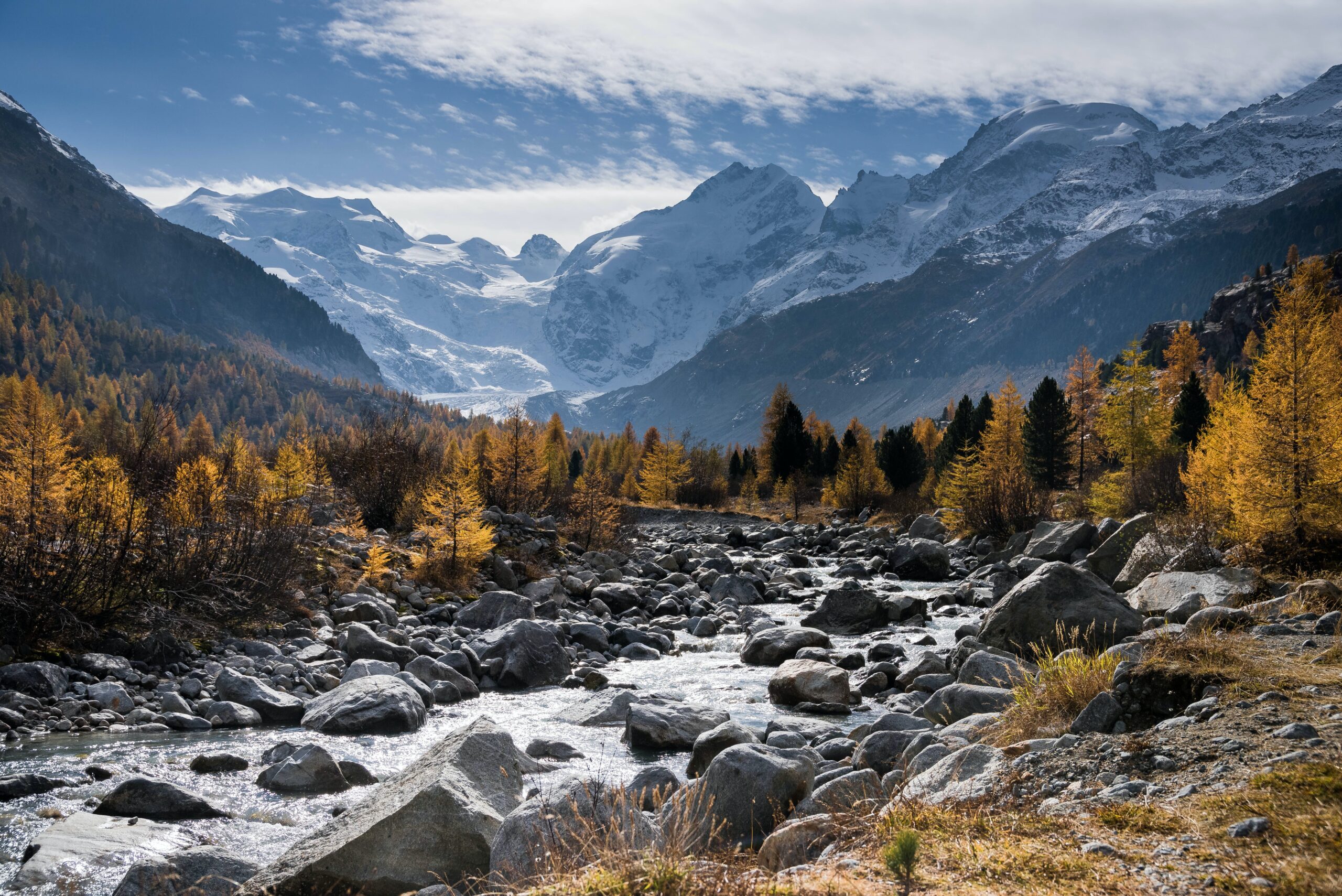 Autumn vista of a river winding between pine trees and snow-capped mountains.