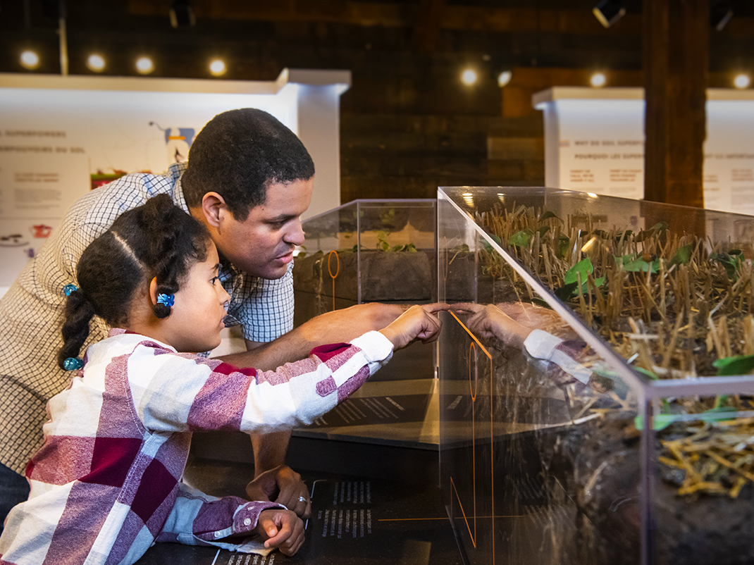 Man and young girl with dark curly hair look at an exhibit of soil. The girl points to the glass case.