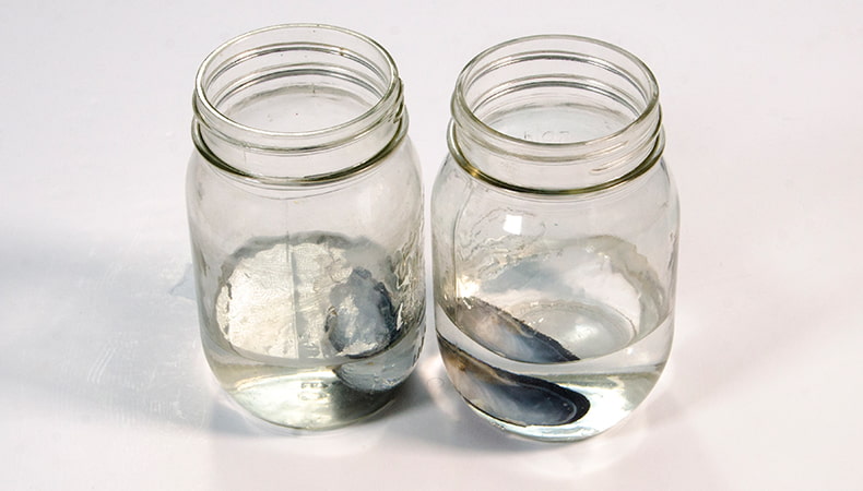 Two glass jars filled with water and eggs.